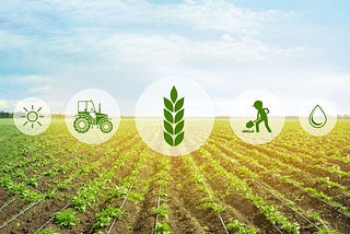 Agritech in Africa: Cultivating Opportunities for ICT in Agriculture