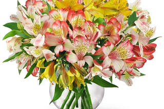 Avenida Flowers: Your Trusted Calgary Flower Shop for Fresh Floral Arrangements and Same-Day…