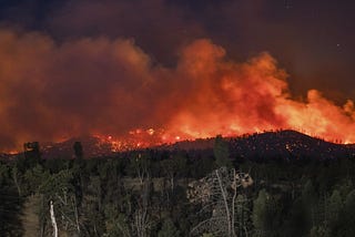 Solutions to California’s Burning Question