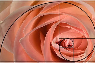 Apa itu Golden Ratio Dalam Design Grafis