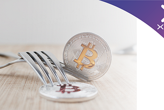 BCH hard fork: Aspects to consider as a Xpay user