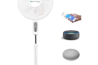 Pedestal Fans