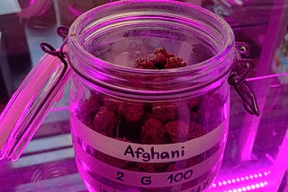 Cannabis Aromagraphy: Capturing the Invisible