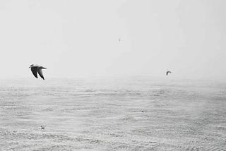 Management of an organization