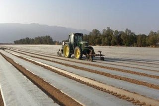 Mulching for Soil Health and Water Conservation