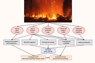The Fire Isn’t Over