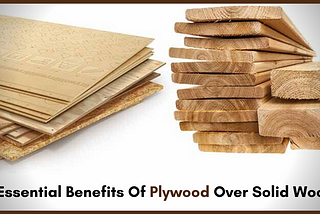 5 Essential Benefits Of Plywood Over Solid Wood