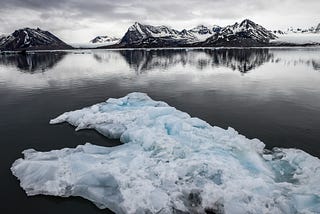 Creating Impact, the Digital Way