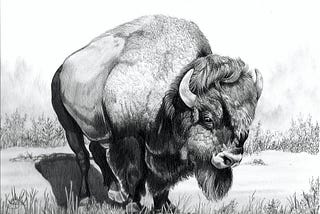 The Importance of The Buffalo to The Native Americans