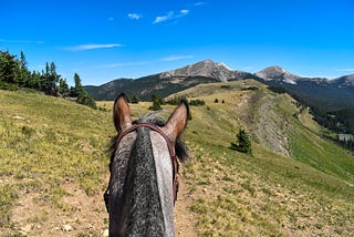 The Ride with No Likes