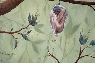 The Butterfly Woman