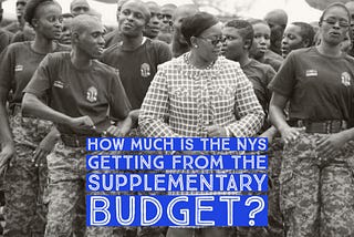 How Much Money Is Going To The NYS in the Supplementary Budget?