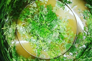 Vermouth the way it was supposed to be: just wine and fresh herbs.