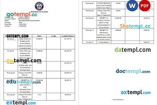 PAKISTAN MEEZAN bank statement Word and PDF template