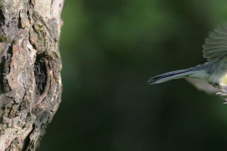 The Truth About Empty Nest Downsizing