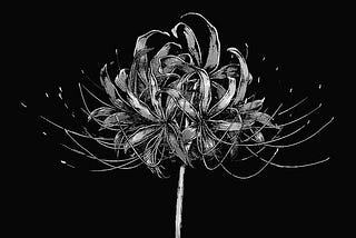 Perdida en la luz de las hojas