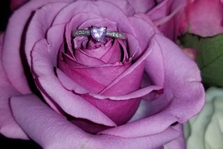 Your Last Name — My Forever