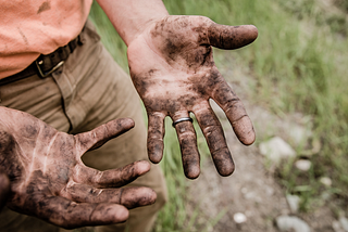 What we can learn from free roaming dairy cows, uneven corn stalks, and an idealistic rancher?