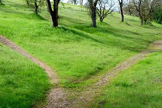 alt= “A path dividing into two different directions”