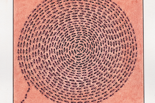 image of ants walking in a spiral