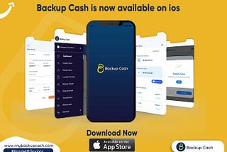 backup cash dashboard on ios app store