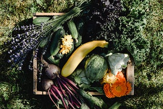 Picture depicts a wooden box of winter vegetables and a bunch of lavender on some lawn.