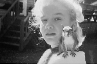The tragic death of Peanut the Squirrel and the Human-Animal Bond.