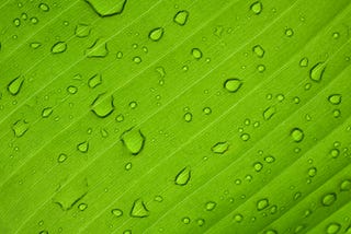 EU calls for rapid expansion of green hydrogen despite infrastructure and financial challenges