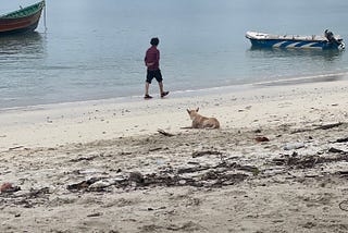 A man walks along the beach, his hands entwined behind his back. A small boat is in front of him, and the border of another, larger, boat is visible in the same frame. A dog looks at the man walking on the beach.