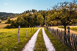 The Hidden Wisdom in Romanian Village Life