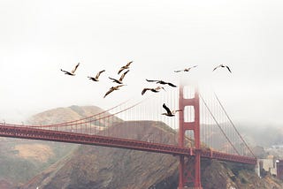 Why Silicon Valley is the Best Place for Tech Entrepreneurship