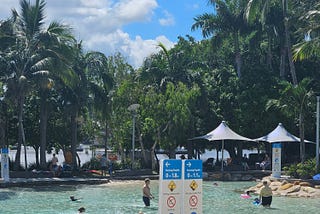 이어 쓰는 호주 여행기 #4 [브리즈번에서 여행 마무리 짓기🏙]