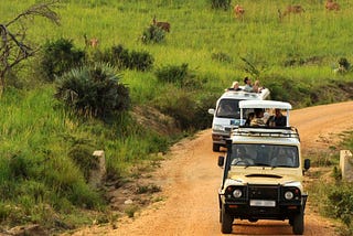 Discover Uganda’s 10 Must-Visit National Parks — A Visual Journey