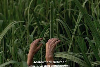 hi, are you okay?