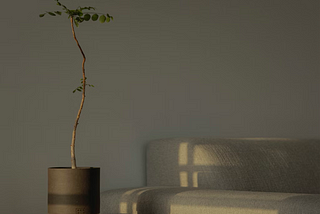 Ambient interior image with soft shadows