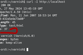 How to Verify Your Website is Using Varnish Cache and Understand the Headers