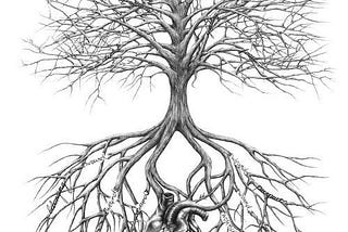 Smoking The Toad — 2.0