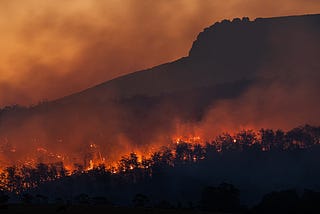 Backing sustainable investment against the backlash