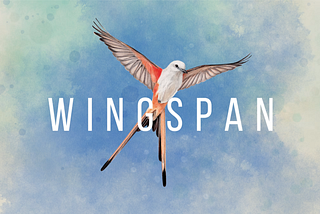 Wingspan: Educational Games Critique