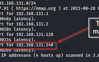 Vulnhub Writeup-Digitalworld.local Development