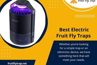 Best Electric Fruit Fly Traps