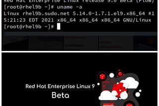 Red Hat Enterprise Linux 9 Beta is out now !