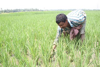 Automating Agriculture — Tartan Sense