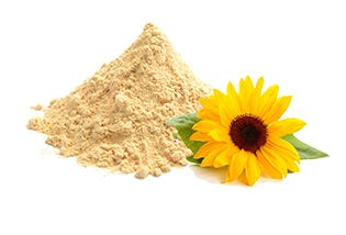 Organic Lecithin Raw Materials