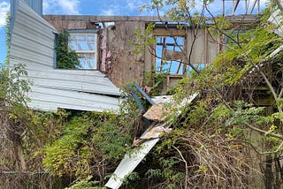 A rundown small building overgrown with plants.