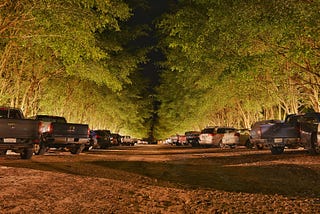 Parking lot under trees