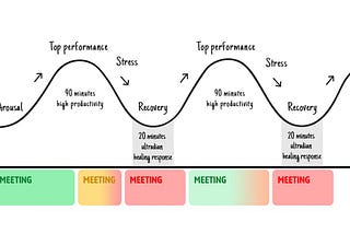 We Work Best in 90-Min Cycles — Why Work 9 to 5?