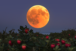 June Full Moon 2025: The Moon’s Most Extreme Path in 18 Years