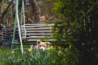 The Woman Waiting