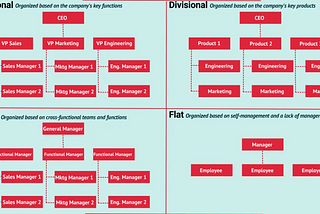 Comparison between Organisation Structure.